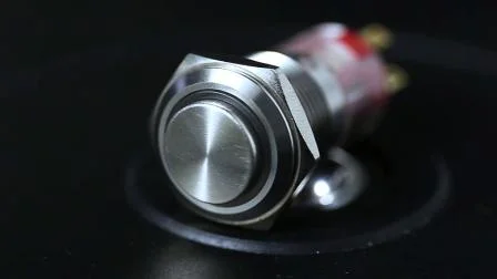 1no1nc simbolo di alimentazione momentaneo pulsante da 12 volt interruttore a testa piatta in acciaio inossidabile da 16 mm